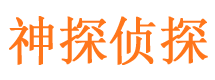 武邑侦探公司